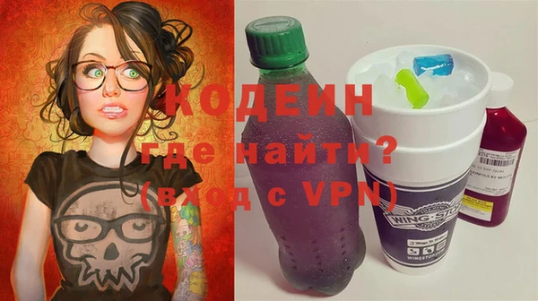 сатива Покачи