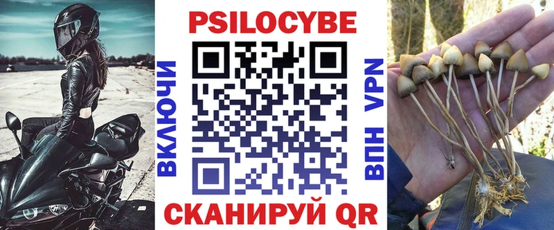 купить   ссылка на мегу рабочий сайт  Галлюциногенные грибы ЛСД  Никольск 