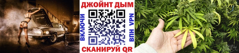 Каннабис OG Kush Никольск